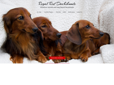 regalreddachshunds.com snapshot
