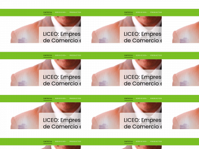 www.alimentacionliceo.com snapshot