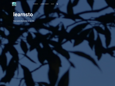 learnsto.com snapshot