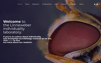 linneweberlab.com snapshot
