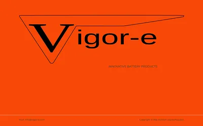 vigor-e.com snapshot