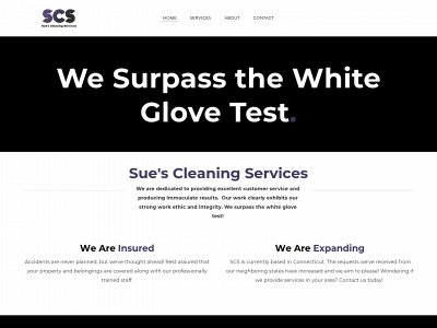 suescleaningservices.com snapshot