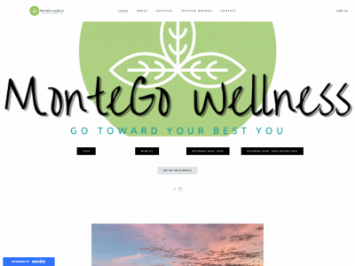 www.montegowellness.com snapshot