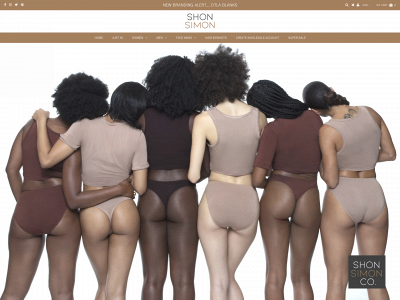 www.shonsimon.com snapshot
