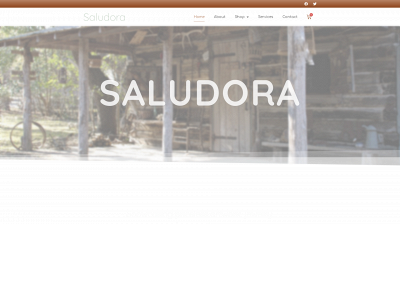 saludora.com snapshot