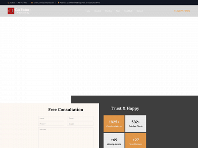 carinjurynj.com snapshot