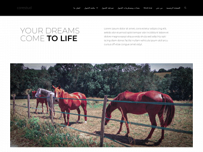 corestud.com snapshot