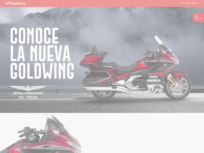 goldwing.cl snapshot