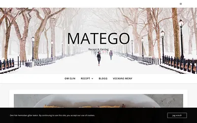 matego.se snapshot