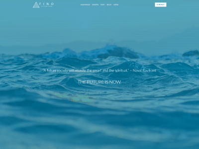 fino.website snapshot