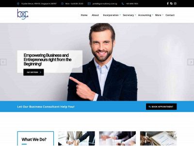 bgconsultancy.com.sg snapshot