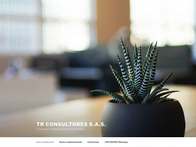 trconsultores.co snapshot