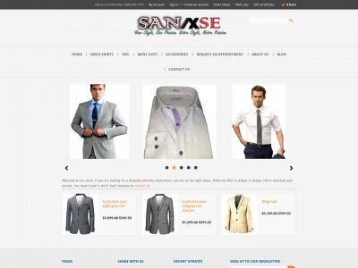 sannse.com snapshot