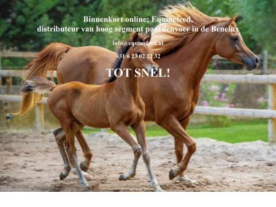 equinefeed.nl snapshot
