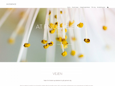 inessence.dk snapshot