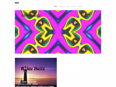 rileyheitz.weebly.com snapshot