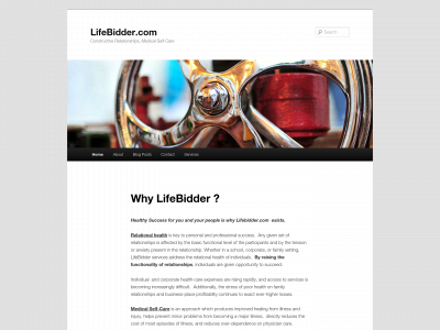lifebidder.com snapshot