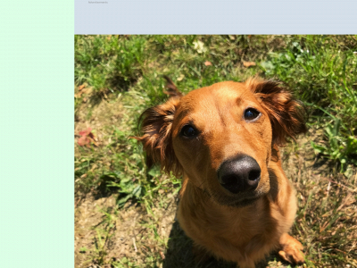 thegettingthrough.com snapshot