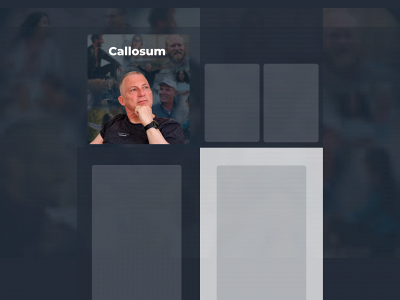 callosum.dk snapshot