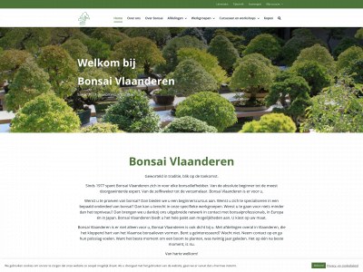 bonsaivlaanderen.be snapshot