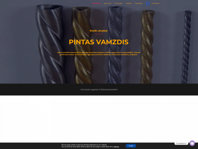 pintasvamzdis.lt snapshot