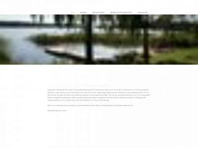 aspskar.se snapshot