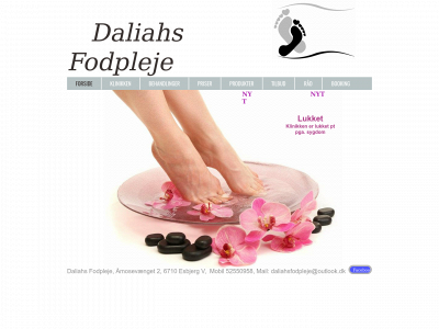 daliahsfodpleje.dk snapshot