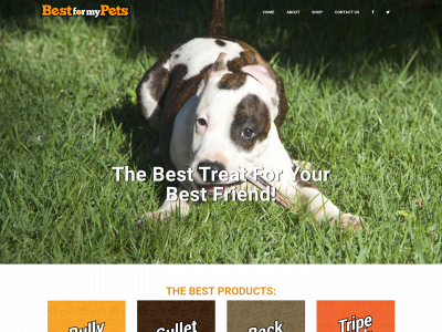 bestformypets.com snapshot