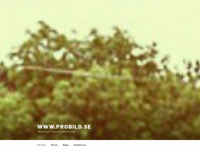 probild.se snapshot
