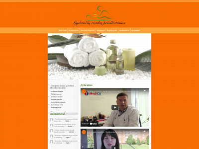 gydanciurankuprisilietimas.lt snapshot
