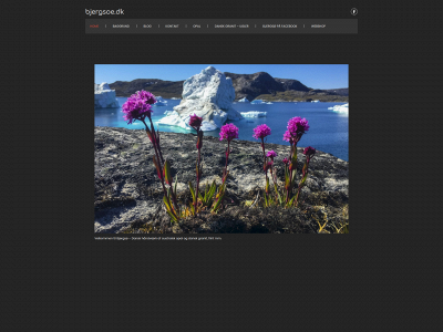 bjergsoe.dk snapshot