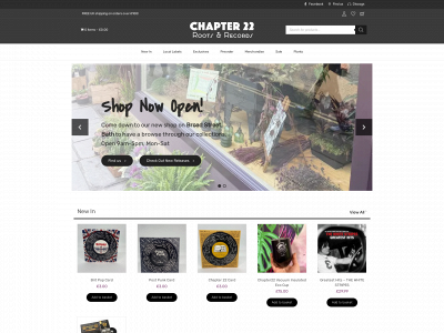 chapter22rootsandrecords.com snapshot
