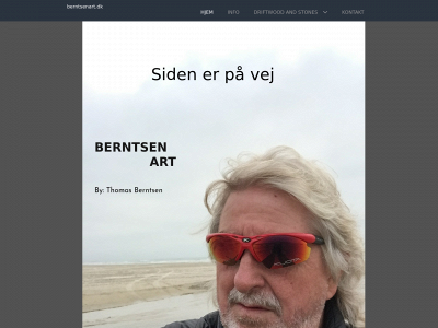 berntsenart.dk snapshot
