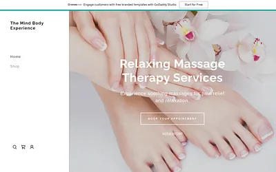 www.themindbodyexperience.com snapshot