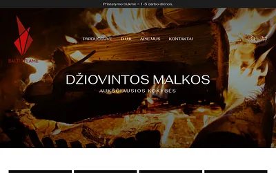 balticflame.lt snapshot