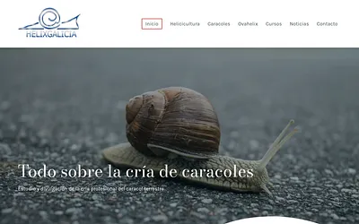 helixgalicia.com snapshot