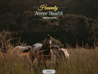 heavenlyhorsehealth.com snapshot