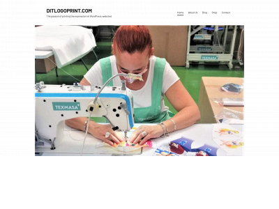 ditlogoprint.com snapshot