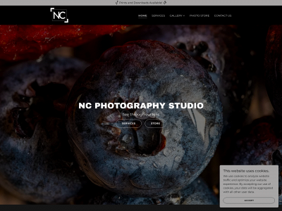 ncphotographystudio.com snapshot