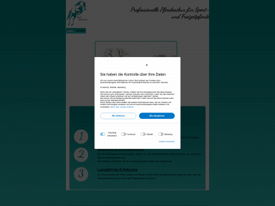 scherservice.de snapshot