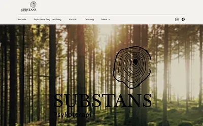 substanspsykoterapi.dk snapshot
