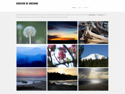 curatorofawesome.weebly.com snapshot