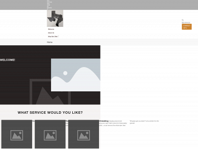 feluxlandworks.com snapshot
