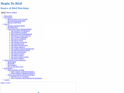 begintobird.com snapshot
