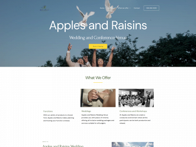 applesandraisins.com snapshot