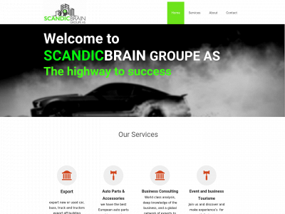 scandicbrain.com snapshot
