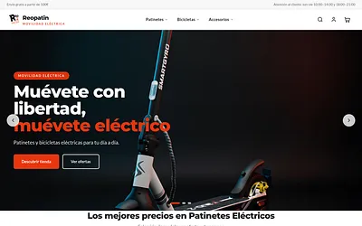 reopatin.com snapshot