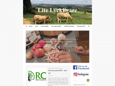 litelyckligare.se snapshot