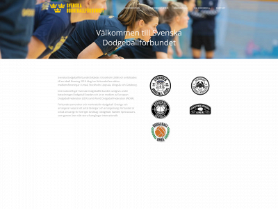 svenskdodgeball.se snapshot