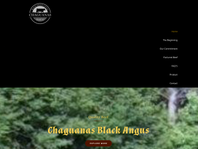 chaguanasblackangus.com snapshot